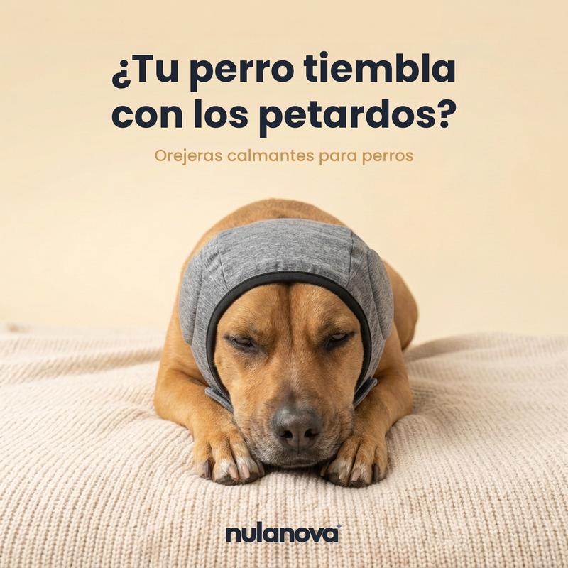 Para mi perro