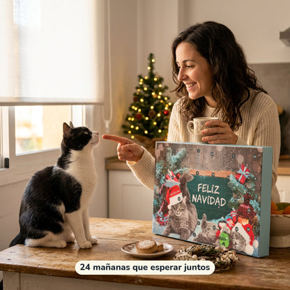Calendario de Adviento para gatos