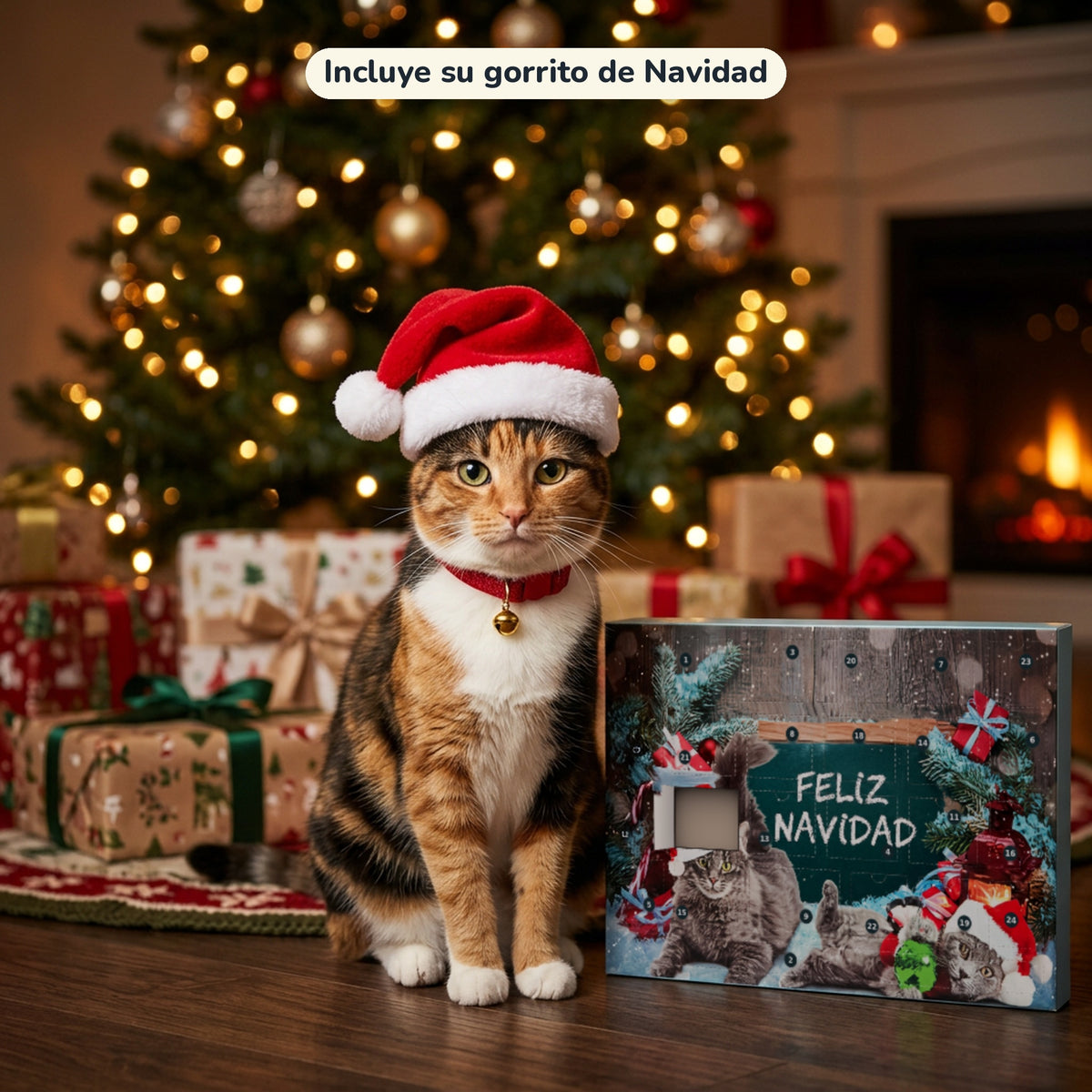 Calendario de Adviento para gatos